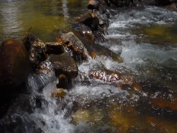 Close up waterfall in forest Stock Footage 85424246
