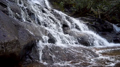 Close Up of a Waterfall in a Forest Stock Footage 145767038