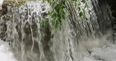 Close up waterfall in forest. Stock Footage 281173589