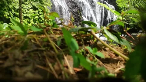 Close up of waterfall in the forest Stock Footage 338160894