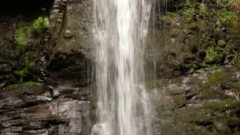 Close-up. Waterfall forest stones stream. 4k. Stock-Footage 82445835