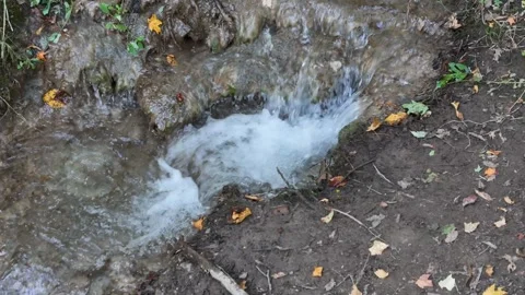 Close Up Waterfall in Forest Stream Near Barrie Ontario Stock Footage 318378300