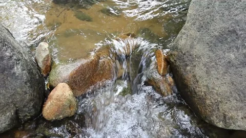 Close up of waterfall with Gerridae in Thailand Stock Footage 220765353