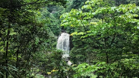 Close-up Waterfall in Guangxi 4K Video Stock Footage 319924059
