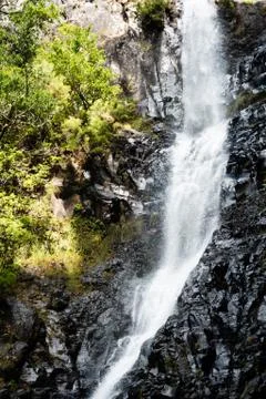 Close up on the waterfall in the middle of a levada Stock Photos