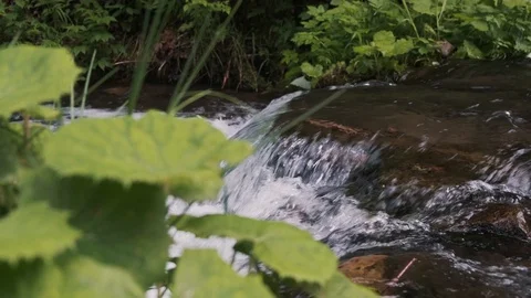 Close up of Waterfall mini River Stream in the National Park. Stock Footage 126718597