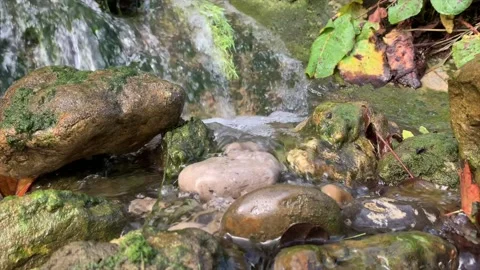 Close up of waterfall onto mossy rocks. Stock-Footage 219890784