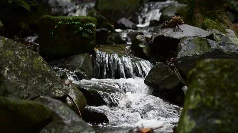 Close up waterfall in Puerto Rico Video stock 44830802