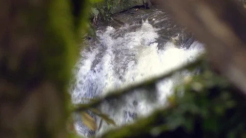 Close up waterfall, stream of waterfall, Chiang Mai Thailand Stock Footage 96259486