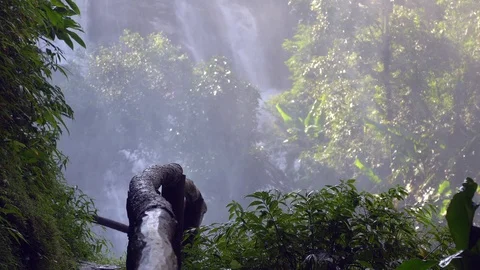 Close up waterfall, stream of waterfall, Chiang Mai Thailand Stock Footage 96259829