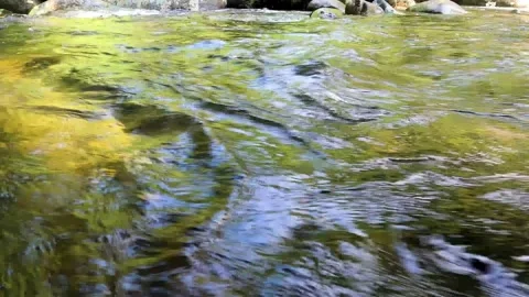 Close-up of a waterfall stream. wild mountain river abundant clear stream Stock Footage 168472272