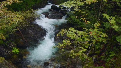 Close-up of a waterfall in a summer forest. Video stock 116355841