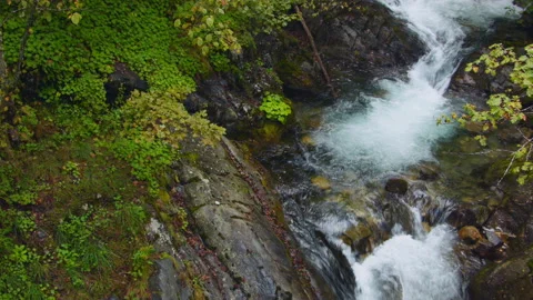 Close-up of a waterfall in a summer forest. Stock-Footage 116355914