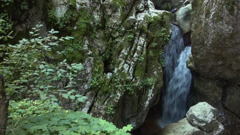 Close-up of a waterfall in a summer forest. 스톡 동영상 116357060