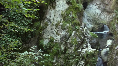 Close-up of a waterfall in a summer forest. Stock-Footage 116357133