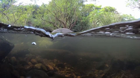 Close up of waterfall in Thailand. Stock Footage 100023943