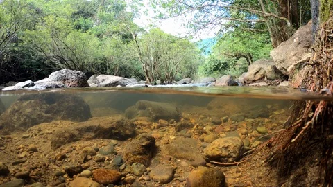 Close up of waterfall in Thailand. Video stock 100025069