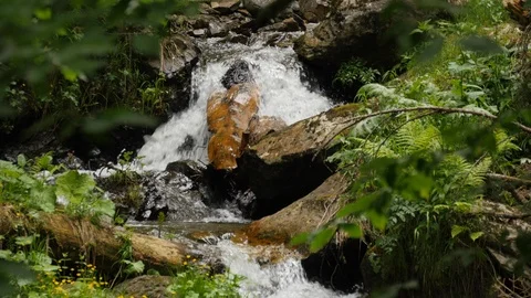 Close up of waterfall threshold at medelikha park Stock Footage 101069196