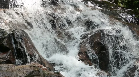 Close-up waterfall in tropical rain-forest Stock Footage 57313262