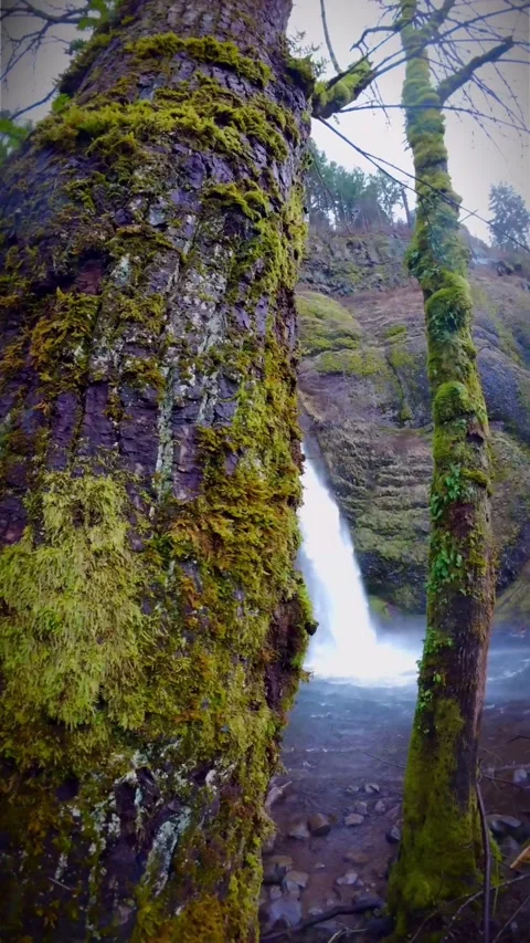 Close up of waterfall in the woods Stock Footage 273981592