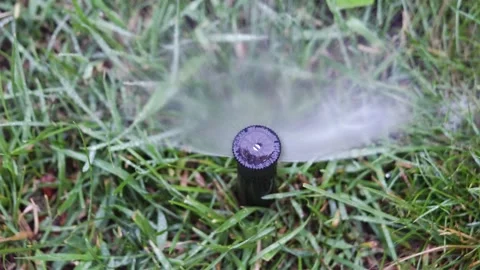 Close-up of watering. Automatic watering system for grass and flowers. Top view. Vidéo 134258834
