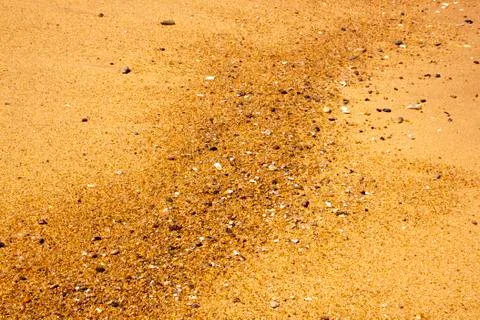 Close up of waterline featuring shells and pebbles Stock Photos