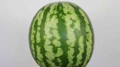 Close up of watermelon. Loop rotation. Rotates big watermelon Stock Footage 76446972