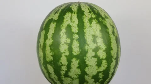 Close up of watermelon. Loop rotation. Сamera rotates big watermelon Stock Footage 66959537