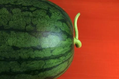 Close up of Watermelon Stock Photos