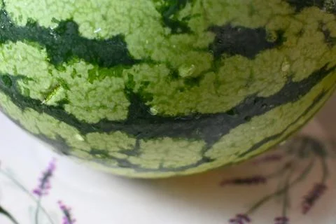 Close-up of watermelon rind Stock Photos