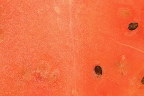 Close-up of watermelon slice in liquid with bubbles. Ripe watermelon in wat.. 스톡 사진
