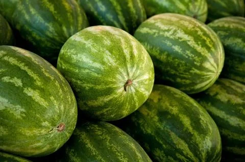 Close-up of watermelons Stock Photos