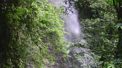 Close up  of Watterfall in colombian rain forest Stock Footage 168269647