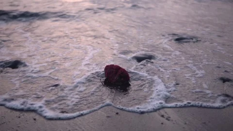 Close-Up Wave Lapping a Red Rock on a Beach at Twilight Stock Footage 319384629