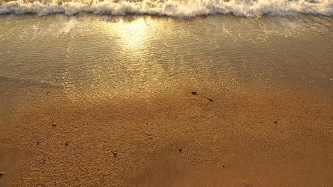Close up wave swept on the tropical beach Vidéo 107670458