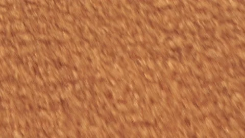 Close-up of waves and sand Stock Footage 219766132