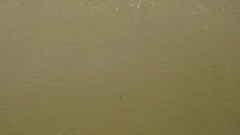 Close Up of Waves on the Beach Stock Footage 244683266