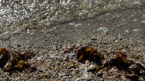 Close waves breacking Stock Footage 41396563