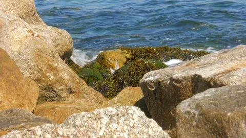 Close up of waves breaking against seaweed covered rocks on the coast Stock Footage 111880311