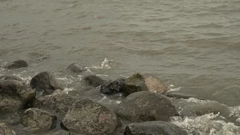 Close-up of waves breaking on rounded rocks on a large lake. Stock Footage 336700503