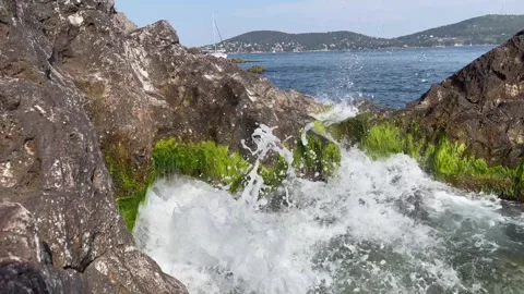 Close-up waves crash on seaweed rocks - stock video Stock Footage 240339446