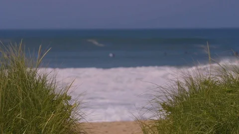 Close up of Waves Crashing with Grass at Cisco Beach, Nantucket Stock Footage 87964257
