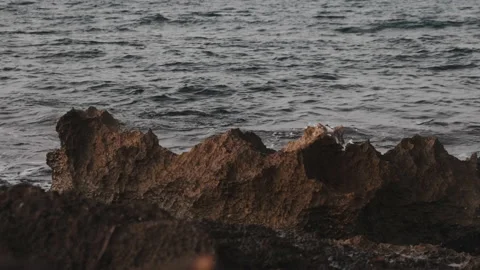Close-up of waves hitting rocks on the seashore Stock Footage 159863663