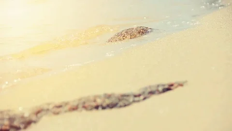 Close up of waves on a Mediterranean beach in the sunset Видео 78557040