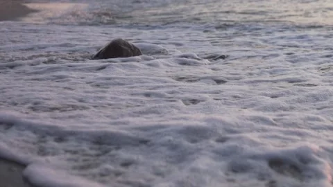 Close-up of the waves on the sea in the evening at sunset Stock Footage 160405737