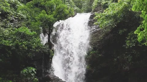 Close-up of the waves in the upper water outlet of the waterfall near tree. Stock Footage 260238570