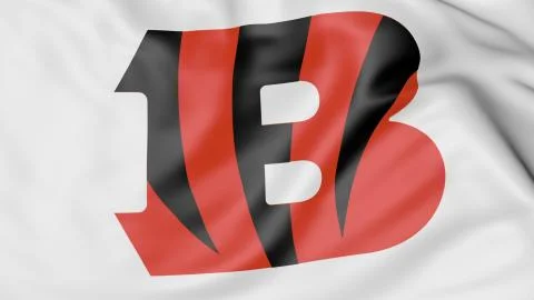 Close-up of waving flag with Cincinnati Bengals NFL American football team logo Stock Illustration