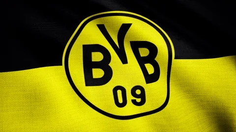 Tamatina Borussia Dortmund Football Club Wall Poster - Logo - HD Quality  Football Poster: Buy Online at Best Price in UAE - Amazon.ae