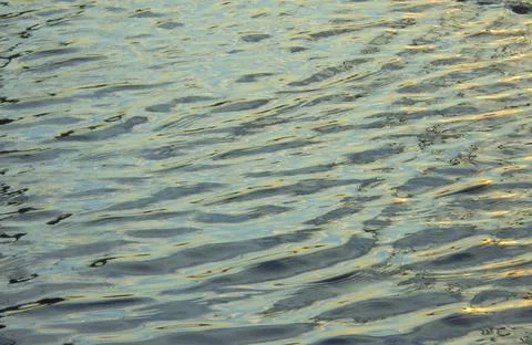 Close-up on waving water surface of pond. Stock Photos