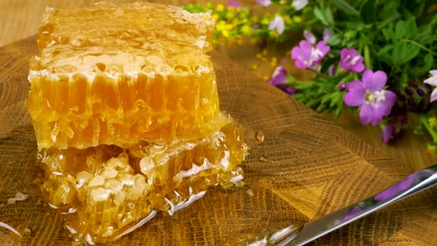 Close-up of wax cells with bee honey. Healthy eating concept. 库存影片 313345772